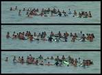 (12) paddle out montage.jpg    (1000x740)    331 KB                              click to see enlarged picture